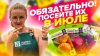 ДОБРОГО ДНЯ_ЧТО МОЖНО ПОСЕЯТЬ В ИЮЛЕ?