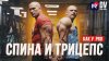 Денис Вовк_КАК НАКАЧАТЬ ОГРОМНУЮ СПИНУ И ТРИЦЕПС! Александр