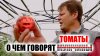 сад огород цветник_О чем говорят помидоры