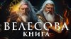 Мой край. История Историки читают Велесову книгу