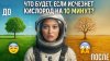 Екатерина Что будет если ИСЧЕЗНЕТ кислород на 10 МИНУТ?