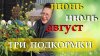 Урожайный сад и огород_Делаю три подкормки ПЕРЦА в июле и со