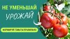 Умное хозяйство_Не урезай урожай своими руками! Как правильн