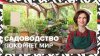 Специальный репортаж_САДОВОДЫ ТРАТЯТ МИЛЛИОНЫ? | Новый трен