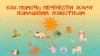 ТАСС_Как помочь перенести жару домашним животным