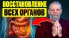 Академики Картавенко - восстановительная медицина_💬 Какую в