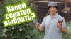 Антонов Сад_Секатор для обрезки: как правильно выбрать? Обзо