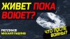 РАСПАКОВКА ПОЛИТИКИ с Михаилом Павливым_ОБРАТНЫЙ ОТСЧЕТ: ЭКО