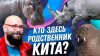 АНТРОПОГЕНЕЗ.РУ Кто кому родственник у животных
