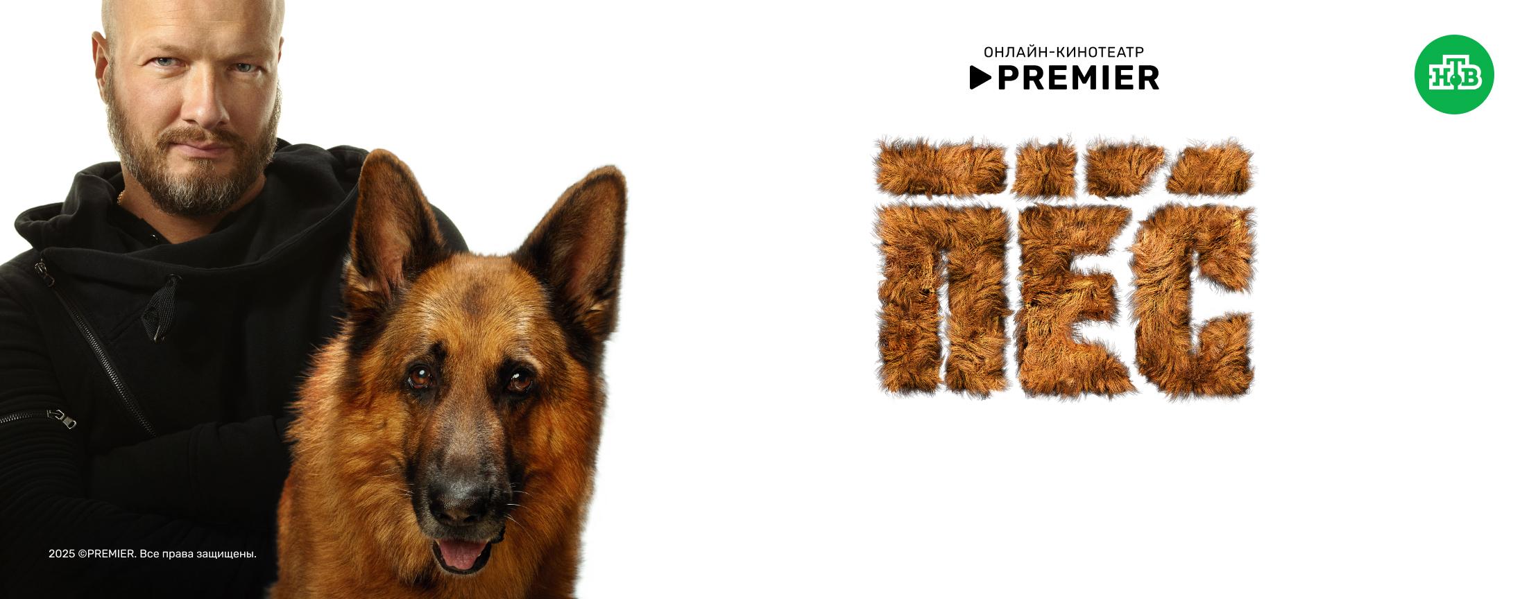 Пёс | PREMIER