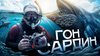 МИР без ГРАНИЦ с Сергеем Завидовым._Гон Сардин. История одн