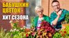 Дачный Угодник Виталий Декабрёв_Чем обработать цветы и забра