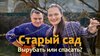 Дачный агроном_Ошибки, из-за которых деревья болеют и не пло