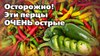 САД БЕЗ СЕКРЕТОВ_Эти острые перцы дадут сногсшибательный уро