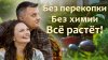 Дачный агроном_Не копайте огород осенью! Вот что нужно сдела