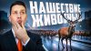 ayazik717_Массовые миграции и вторжения в цивилизацию живот