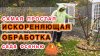 СамСебеАгроном_Самый простой уход за садом осенью и нет ника