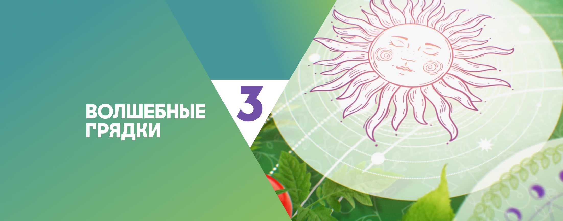 Волшебные грядки