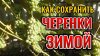 Роман Буров TV_Как сохранить черенки винограда зимой без пле