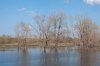 Власти предупредили об угрозе затопления села Абатское в Тюменской области
