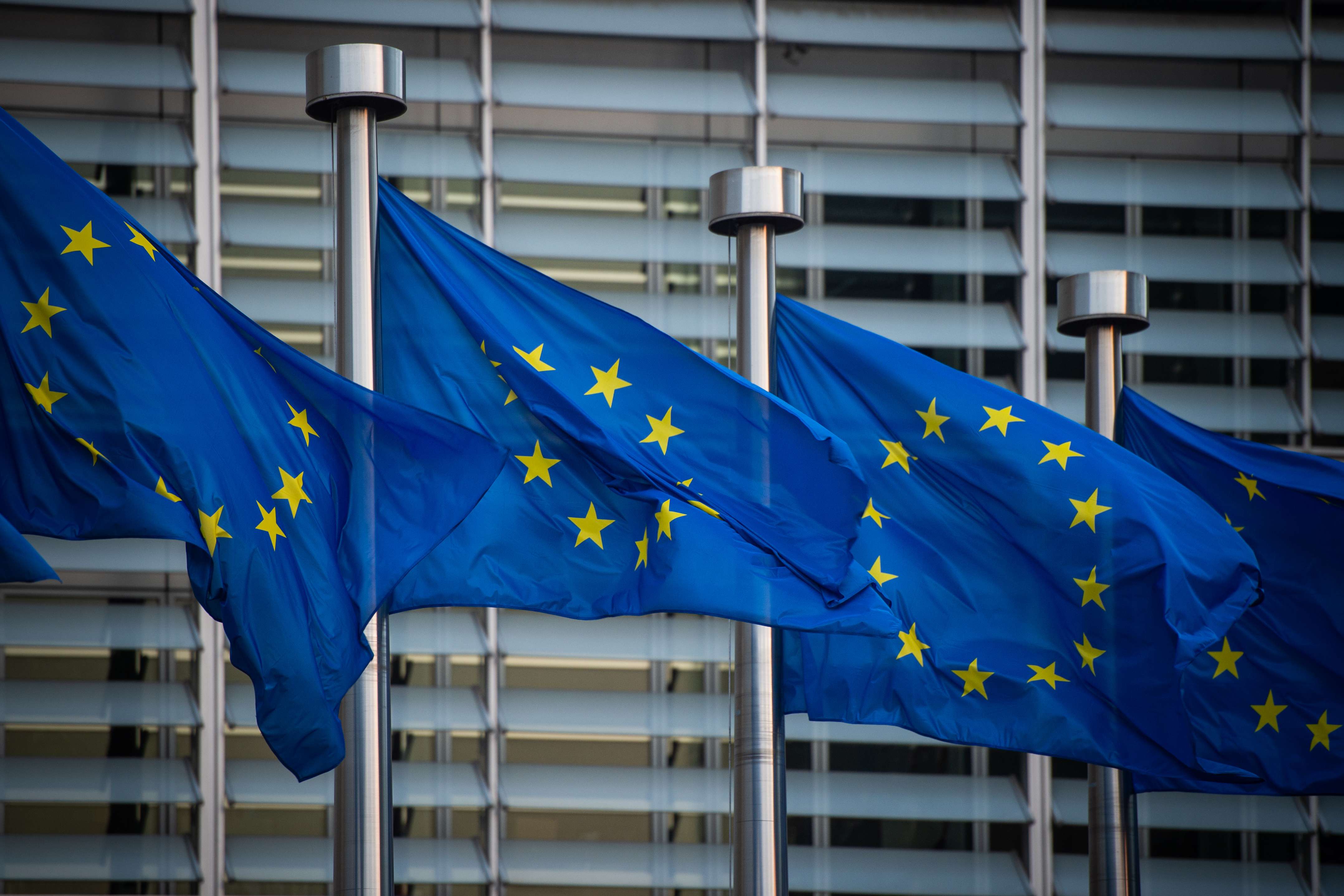 Евросоюз мир. Европейский Союз (Евросоюз, ЕС). Европейский Союз (Евросоюз, ЕС) Страна. Флаг совета Европы. Евросоюз 1993.
