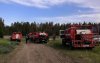 За сутки в РФ потушили еще 66 лесных пожаров