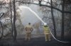 В РФ за минувшие сутки погасили 30 лесных пожаров