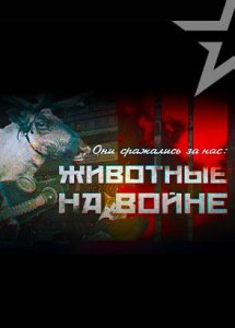 Они сражались за нас: животные на войне