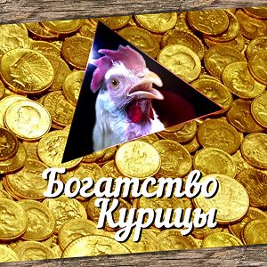 Иконка канала Богатство курицы | PREMIER