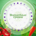 Иконка канала Волшебные грядки