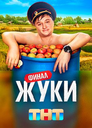 Жуки