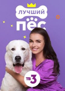 Лучший пёс