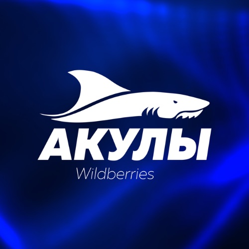 Иконка канала Акулы Wildberries