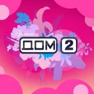 Иконка канала Новости Дом 2