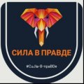 Иконка канала Сила в Правде
