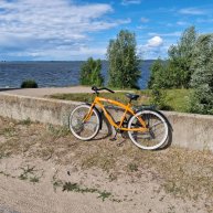 Иконка канала АЛЕКСЕЙ показывает Life