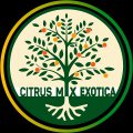 Иконка канала Цитрус Микс Экзотик