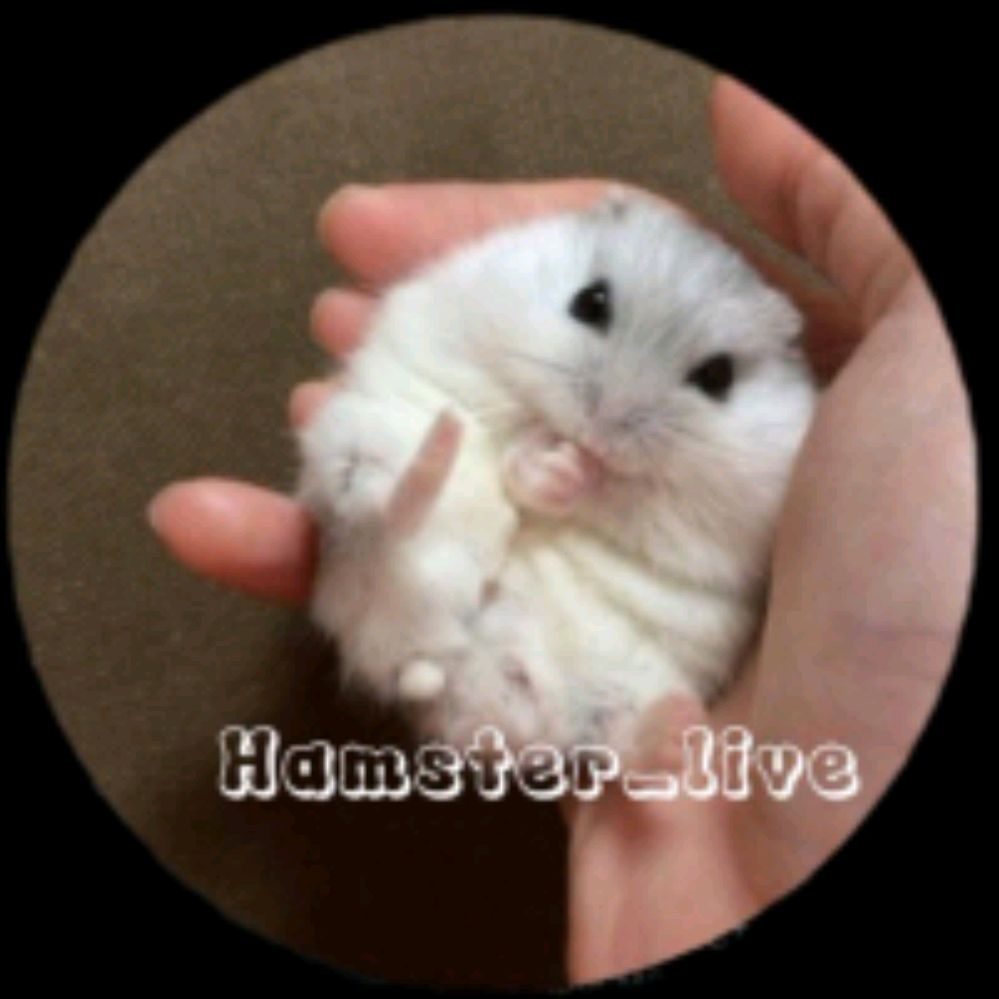 Иконка канала Hamsters_live