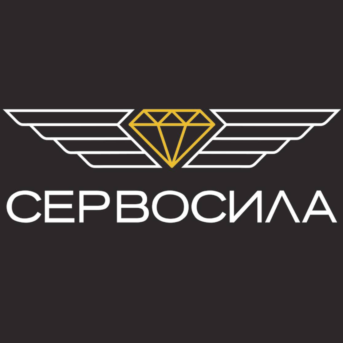 Иконка канала Компания Сервосила