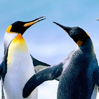 Иконка канала Александр 