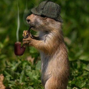 Иконка канала Домик на окраине. Дела табачные и не только.