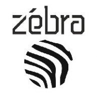 Иконка канала https://zebravideo.ru видео для рекламы, корпоративный фильм, видеосъемка