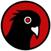 Иконка канала Black Pigeon Speaks