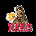 Иконка канала NAKS
