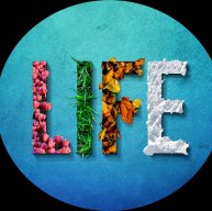 Иконка канала Life