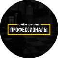 Иконка канала О чем говорят профессионалы