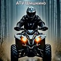 Иконка канала ATV Шишкино
