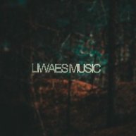 Иконка канала LIWAES MUSIC