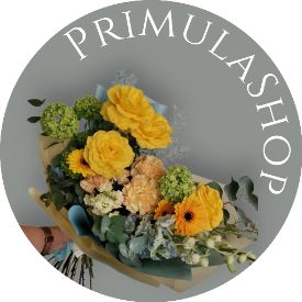 Иконка канала PrimulaShop