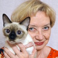 Иконка канала Тайские кошки и все, что я люблю